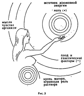 Pic 3